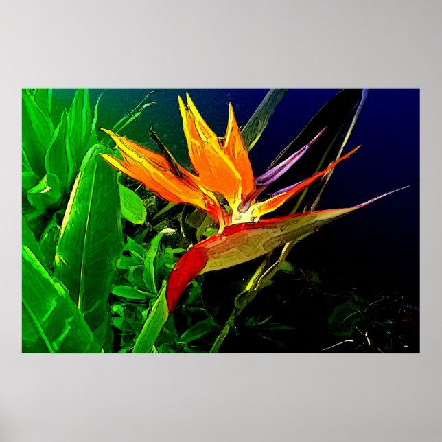Bird Print Poster (Vorne)