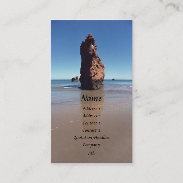 Bird Rock Visitenkarte (Vorderseite)