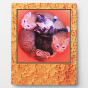 Bird’s Eye Maple Wood Grains Pattern Picture Frame Fotoplatte