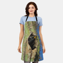 Bird Saguaro Cactus Starling Foto Südwest