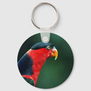 Bird-Schlüsselanhänger Schlüsselanhänger