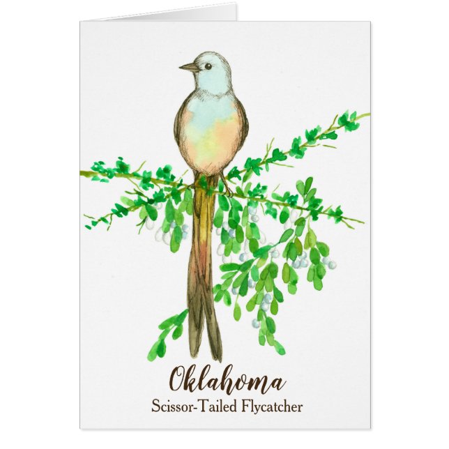 Bird Scissor Flycatcher Mistletoe Blank (Vorne)
