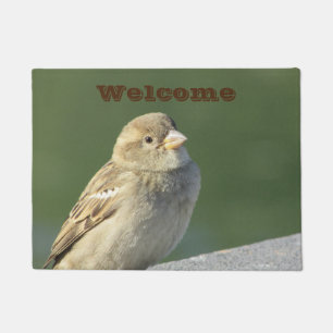 Bird Small Brown House Sparrow Foto Willkommen Fußmatte