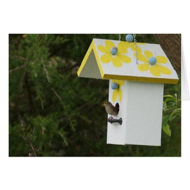 Bird Song (Vorderseite (Horizontal))