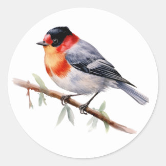 Bird Stickers Rot-Coast Warbler