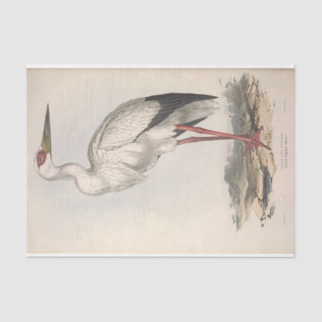 Bird Stork Ephemera Decoupage Seidenpapier (Vorderseite)