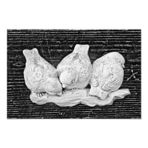 Bird Trio Fotodruck