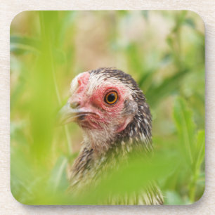 Bird Untersetzer
