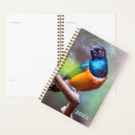 Bird Watcher Blue Orange Green Starling auf Limone Planer