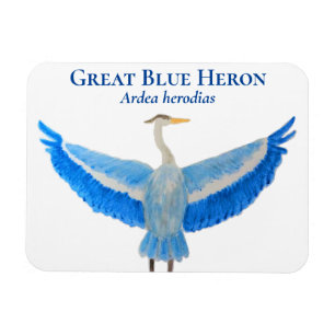 Bird Watercolor Scientific Great Blue Hery Magnet