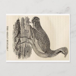 Bird Woodcut Postcard Postkarte