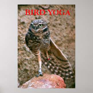 , BIRD YOGA POSTER