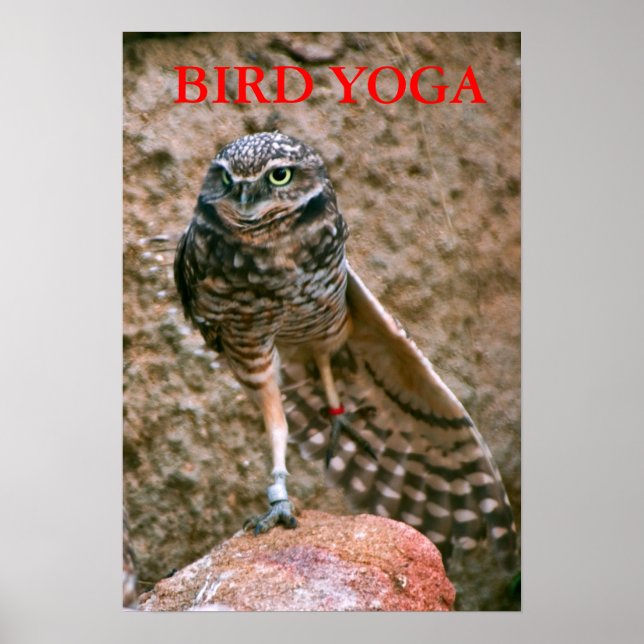 , BIRD YOGA POSTER (Vorne)