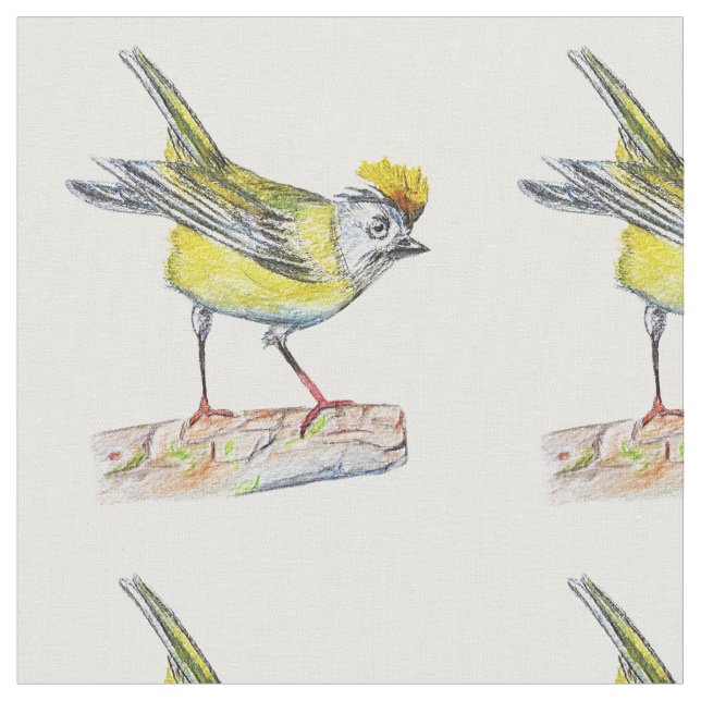 Bird Zeichnend Baumwollstoff (56" Breite) Stoff (Nahaufnahme)
