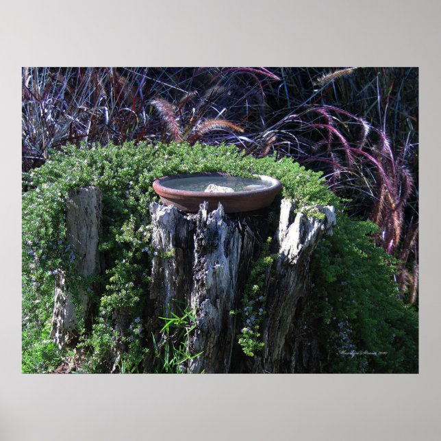 Birdbath on Tree Stump Poster (Vorne)
