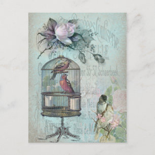 Birdcage Blossom Postkarte