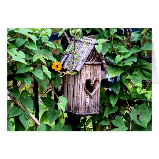 Birdhouse (Vorderseite (Horizontal))