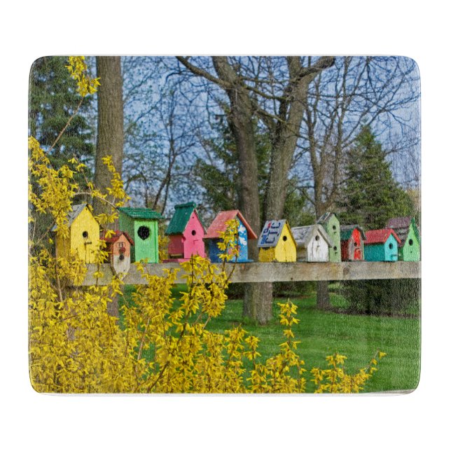 Birdhouse Boulevard Schneidebrett (Vorderseite)