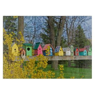 Birdhouse Boulevard Schneidebrett