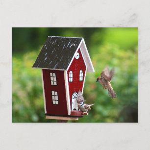 BirdHouse/Fågelhus Postkarte