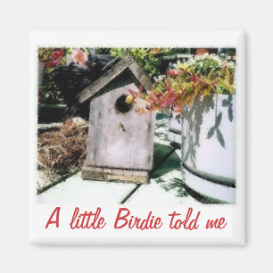 Birdhouse Magnet