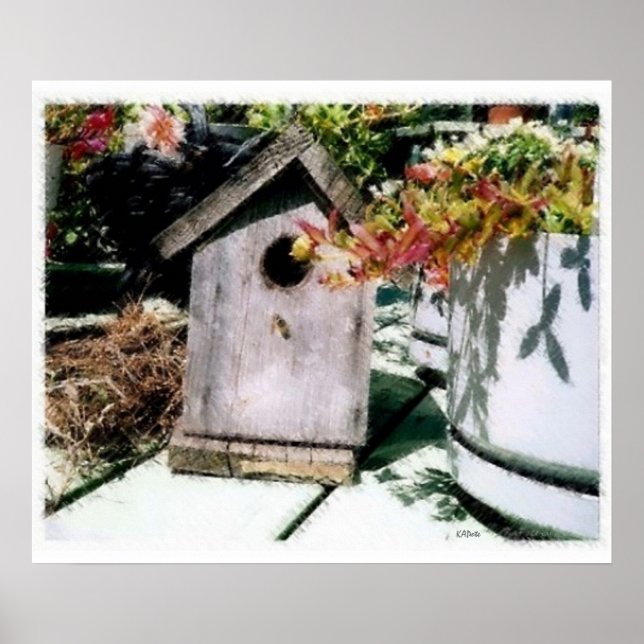 Birdhouse Poster (Vorne)