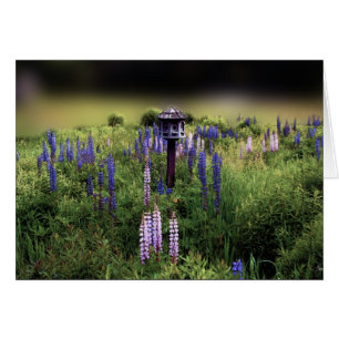 Birdhouse und Lupinen