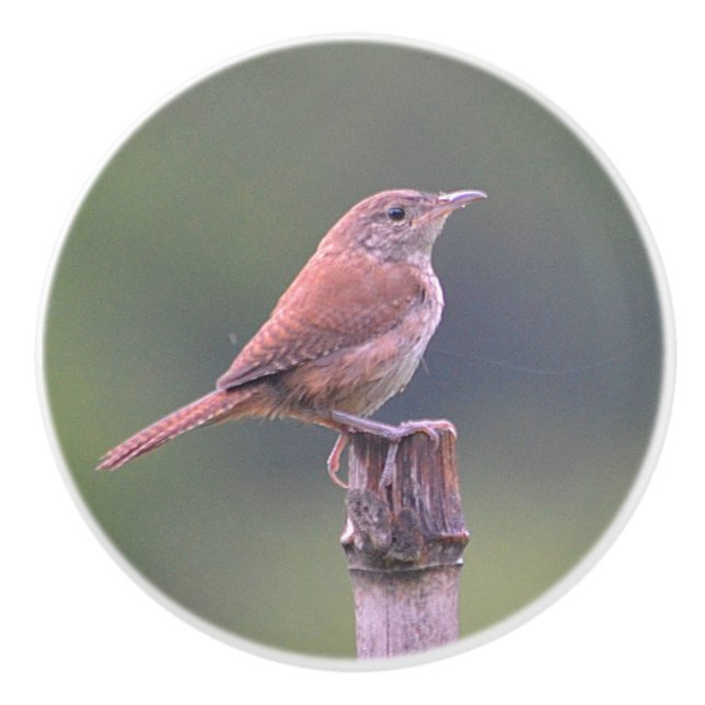 Birdie Keramik Knob Keramikknauf (Vorderseite)