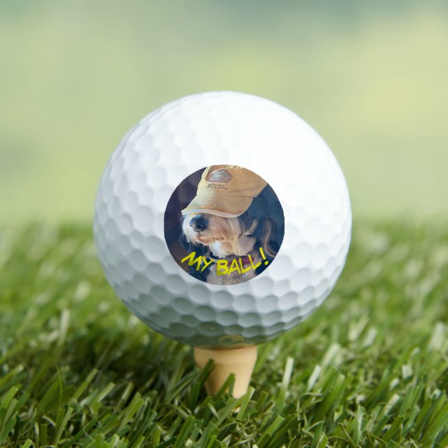 Birdie the Bernedoodle in gelbem Hut Golfball (Insitu T-Shirt)