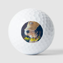 Birdie the Bernedoodle in gelbem Hut Golfball