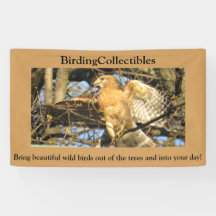 BirdingCollectibles-Banner