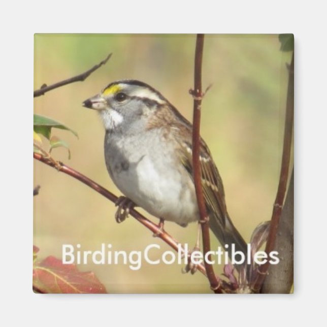 BirdingCollectibles Magnet (Vorne)