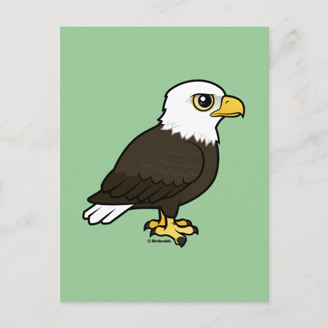 Birdorable Bald Eagle Postkarte (Vorderseite)