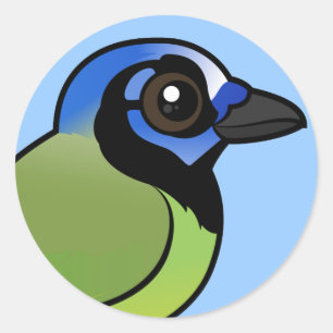 Birdorable Green Jay Runder Aufkleber