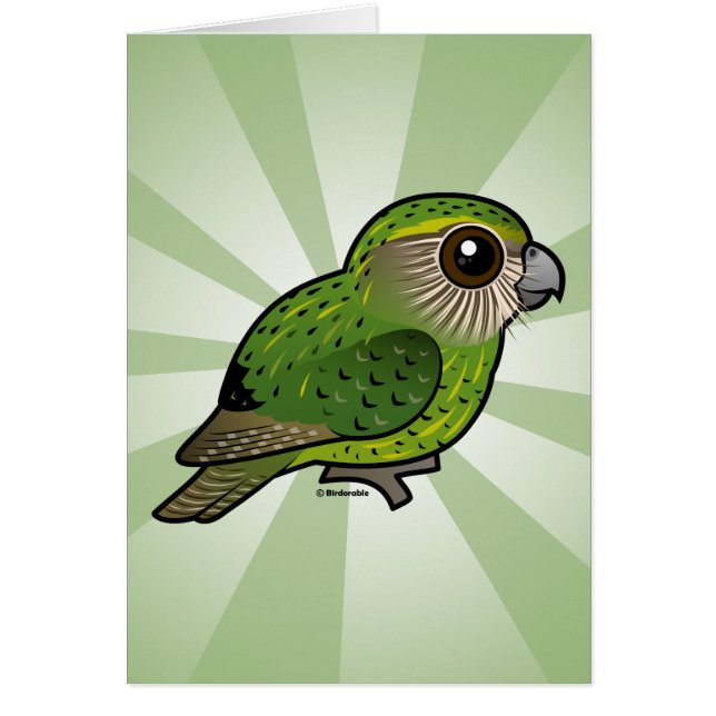 Birdorable Kakapo (Vorne)