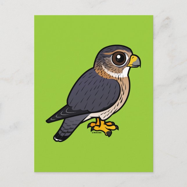 Birdorable Merlin Postkarte (Vorderseite)