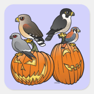 Birdorable Rapers on Pumpkins Quadratischer Aufkleber