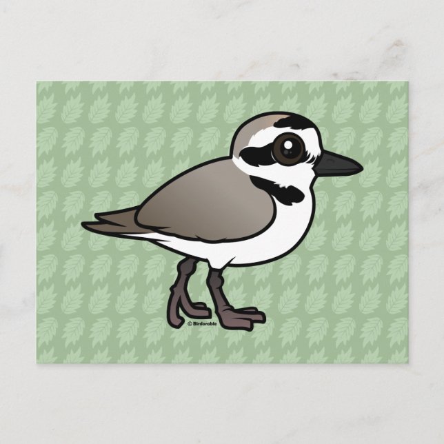 Birdorable Snowy Plover Postkarte (Vorderseite)