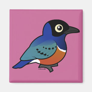 Birdorable Superb Starling Magnet
