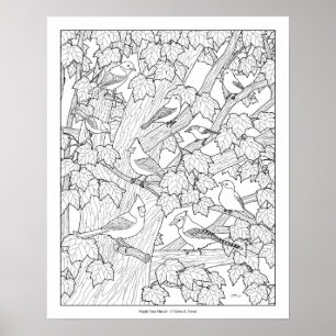 Birds and Maple Tree Adult Coloring Page 20"x16" Poster