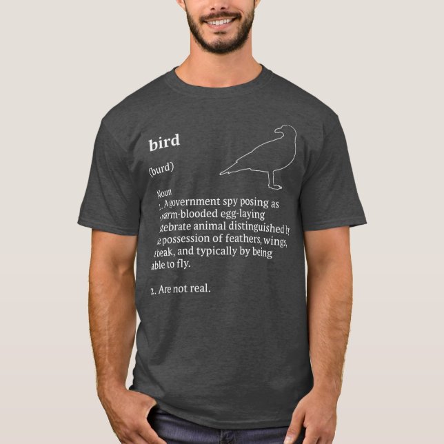 Birds Arent Real Dictionary Minimalist T-Shirt (Vorderseite)