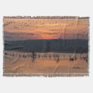 Birds at sunrise decke