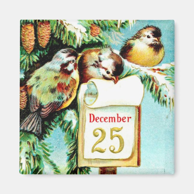 Birds Celebrate Christmas Magnet (Vorne)