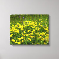 Birds-Fuß Trefoil Canvas Print