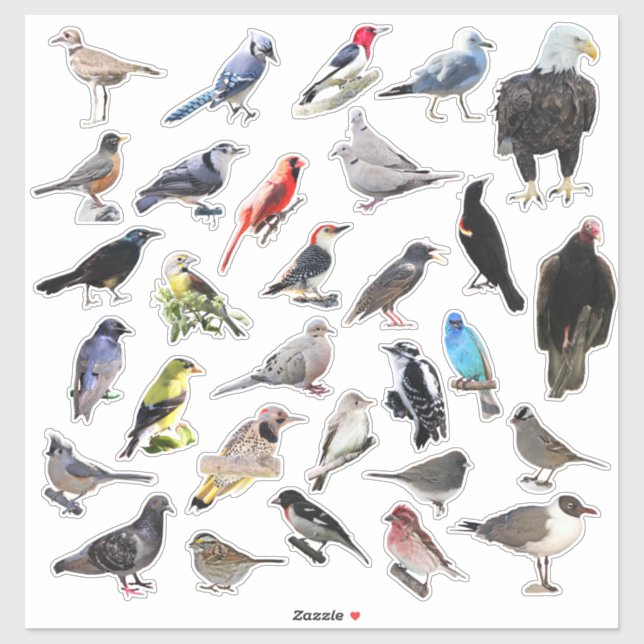 Birds Galore Aufkleber (Blatt)