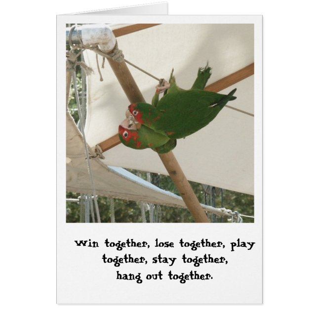 Birds of a Feather (Vorne)