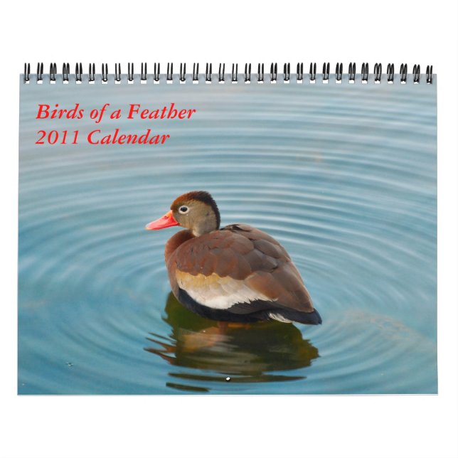 Birds of a Feather Kalender (Titelbild)