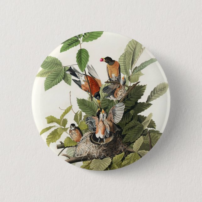 Birds of America (1827) Button (Vorderseite)