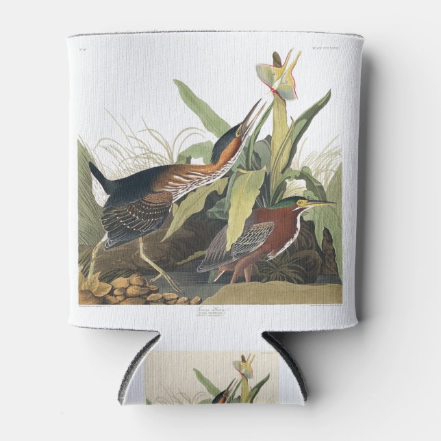 Birds of America (1827) by John James Audubon Dosenkühler (Vorderseite)