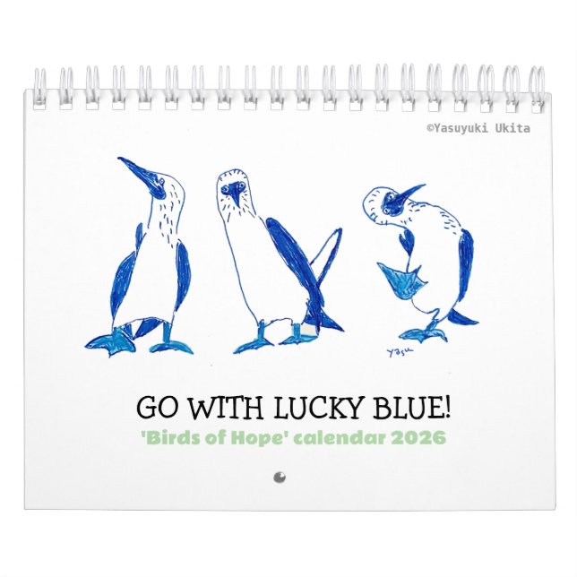 'Birds of Hope' Calendar 2026  Kalender (Titelbild)